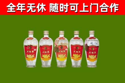 北戴河回收老五粮液